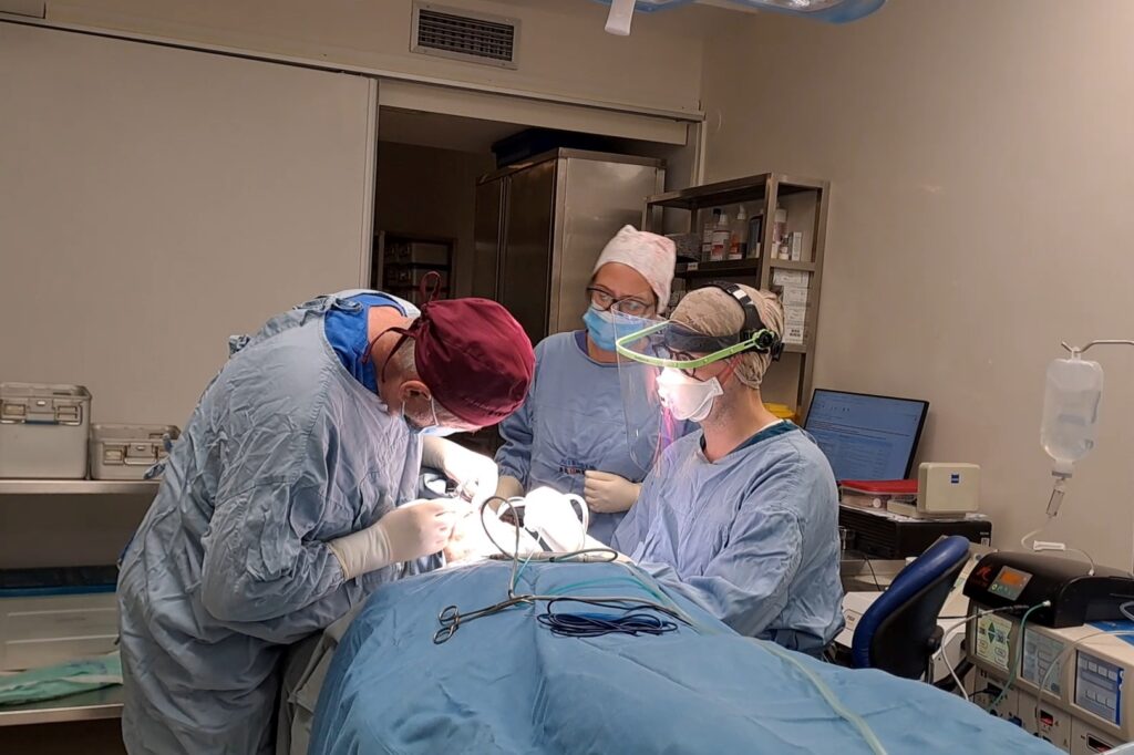 Ugradnja implanata u totalnoj anesteziji Denatl Implant Expert